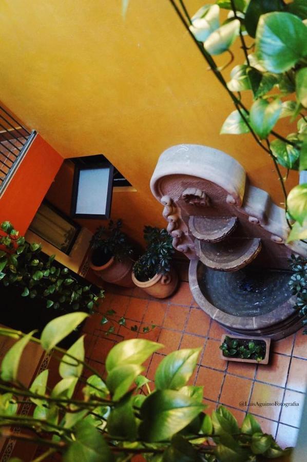 Hotel Del Pasaje Morales 科米坦德多明格斯 外观 照片