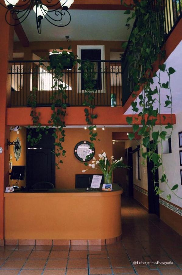 Hotel Del Pasaje Morales 科米坦德多明格斯 外观 照片